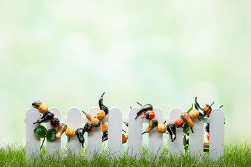 Vegetables drying on wooden fence with green defocused background