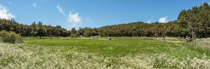 Fototapeta premium Super wide panorama of Picnic barbecua area in the center of the unique relict forest of National Park surrounded by young green grass. Laguna Grande, La Gomera, Canary Islands