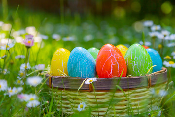 Ostereier in einem Korb auf der Wiese