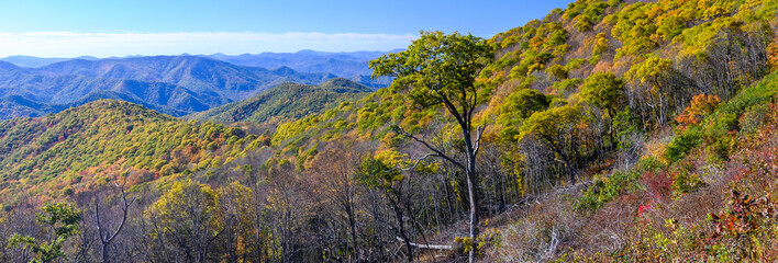 Autumn in the Appalachian Mountains Viewed Along the Blue Ridge Parkway