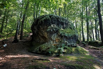 Big colourful sandstone rock spotted in Saxon Switzerland