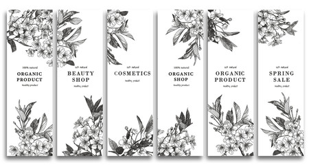 Blooming cherry. Sakura branch with flower buds. Black and white drawing of a blossoming tree in spring. Set of vertical spring banners. Sakura blossoms and leaves  on tree branches.  