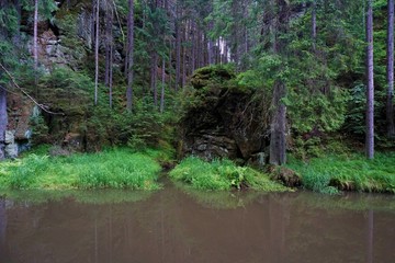Kirnitzsch river as border between the Czech Republic and Germany