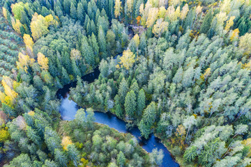 Forest in autumn colors. Colored trees and a meandering blue river. Red, yellow, orange, green deciduous trees in fall. Vaidava, Latvia, Europe
