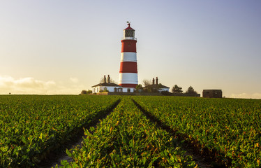 Fototapeta na wymiar Happisburgh lighthouse in colour landscape
