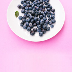 Blueberries close-up with copy space on a white plate. Ripe summer berries for a healthy diet and making juice, jam, smoothie and yogurt. Top view, copy space.