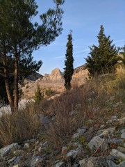 tree in mountains,rock,sky,landscape
