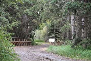 Road In The Forest, Fort Edmonton Park, Edmonton, Alberta