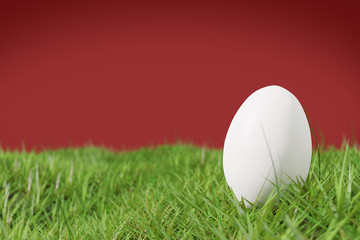 Osterei liegt im Gras als Hintergrund 