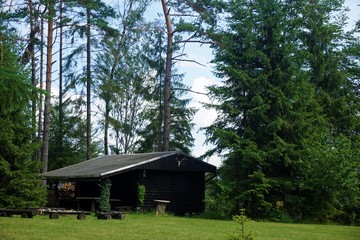 Beautiful log cabin in the forest on a hill near Sebnitz-Ottendorf