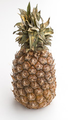 Pineapple is a grassy tropical plant of the bromeliad family