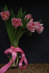Pink Tulips in vase and ribbon dark background