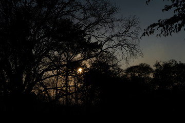 Fototapeta premium Atardecer