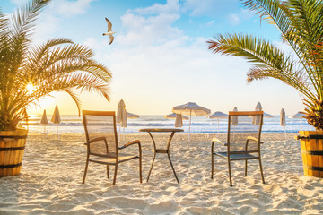 Coastal landscape - view of the beach with beach furniture, palm trees and umbrellas, city of...