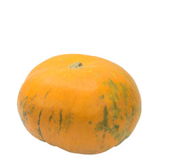 Ripe orange pumpkin, on a white background. Vegetarian vegetable for lunch. Natural vitamins for a healthy lifestyle.