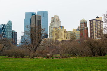 Fototapeta premium The Central Park of New York City. 
