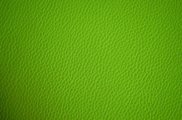 Leather texture close up. Green fashionable background, top view. Stylish wallpaper of snake skin. Rough surface of light green color.