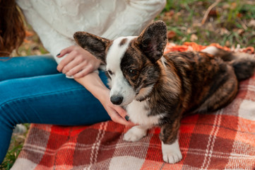 Young female sitting with Welsh Corgi dog on red plaid
