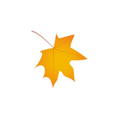 Yellow Autumn Leaves icon. Trendy Flat style for graphic design, Web site, UI. EPS10. - Vector illustration