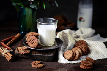 Buckwheat  vegan graham cracker...style rustic