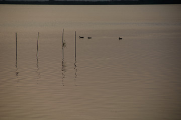 Reflections of the sunset in the lagoon