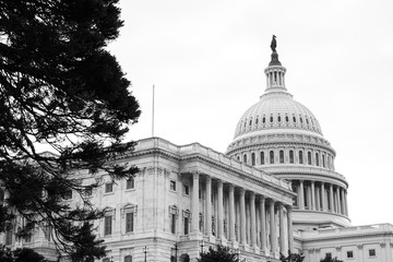 Fototapeta na wymiar United States Capitol in Washington DC