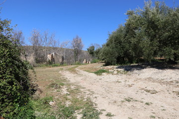 naturaleza ruinas antiguo