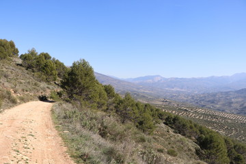 naturaleza 
