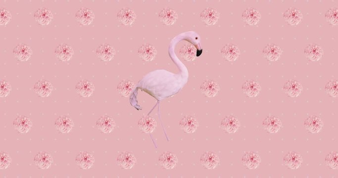 Animation design art. Flowers and flamingo background