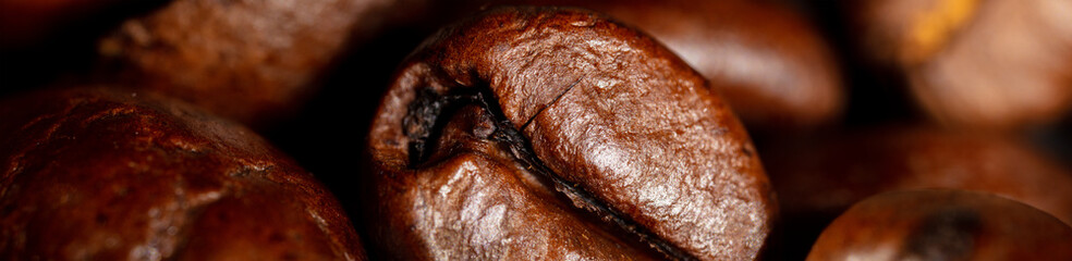 Close up of a coffee bean. Macro panorama photography of coffee beans in high resolution. Detailed ultra macro on a roasted coffee bean.  Microscopic photography. Useful as a banner in a coffee shop