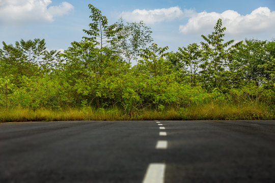 A road to nowhere in the Malaysian rainforest. The street was build but the destination didn't exist, construction of the road stopes suddenly and the road ends in the jungle of Putrajaya, Malaysia.