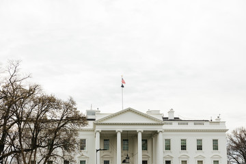 Fototapeta na wymiar White House in Washington DC
