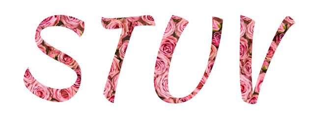 The letters S T U V of the English alphabet is cut out of pink roses on a white isolated background.Floral pattern, texture.Bright alphabet for stores,sales,websites,postcards and holiday greetings.