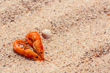 heart-shaped shrimp in the sand. Love concept.