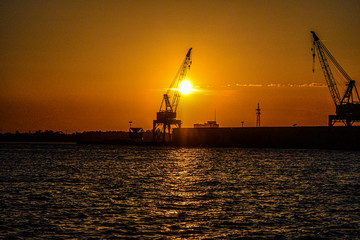 Obraz premium crane at sunset