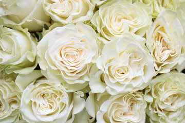 Fototapeta na wymiar Bouquet of white roses close up