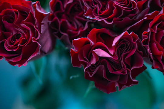 Bouquet of red roses close up.
