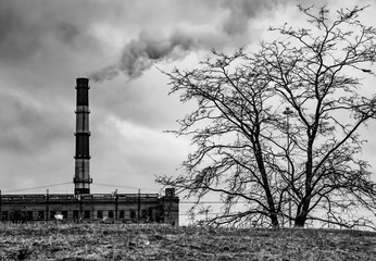 Black and white  photo of industrial landscape. Smoke from the chimney and alone tree.