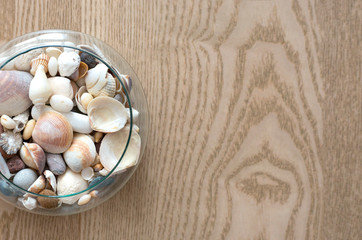 Different ocean shells in a glass vase. Glass vase with shells stands on a wooden board