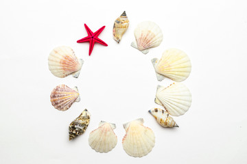 Shells pattern. Trendy natural organic color Sea shell with starfish and shells in shape frame. Summer background. Top view with copy space.