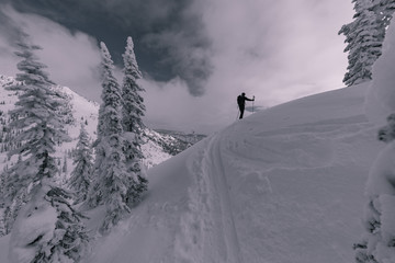 Naklejka na ściany i meble Backcountry ski touring in canadian mountains splitboarder