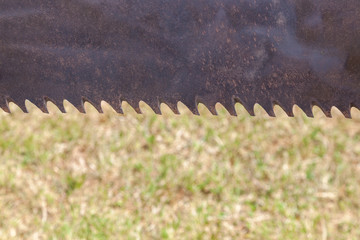 saw blade