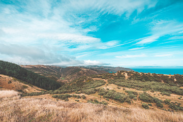 Makara beach natural scenes in Wellington, New Zealand