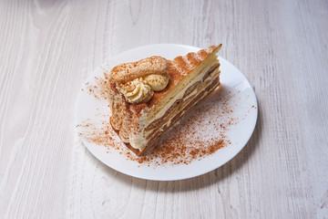 Tiramisu cake/ dessert with cacao on a porcelain plate