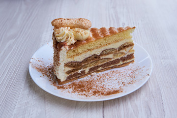Tiramisu cake/ dessert with cacao on a porcelain plate