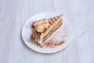 Tiramisu cake/ dessert with cacao on a porcelain plate
