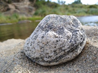ROCA