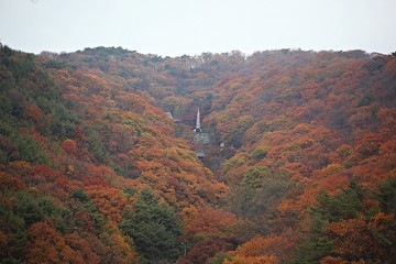 Fototapeta premium 가을남한산성