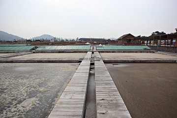 Obraz premium 시흥갯골생태공원입니다