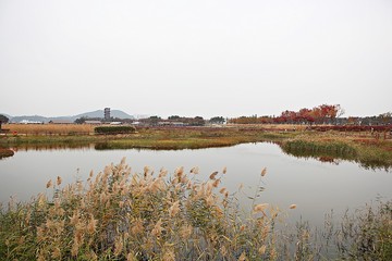 시흥갯골생태공원입니다